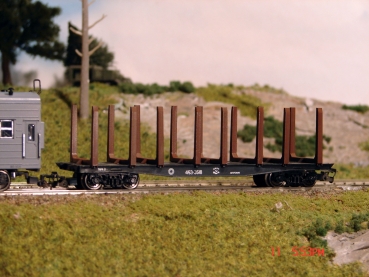 3810 Peresvet TT Rungenwagen