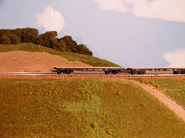 3656 Peresvet TT Flachwagen